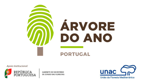 Concurso “Árvore do Ano 2026″