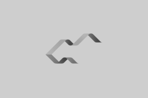 Aenean Adipiscing