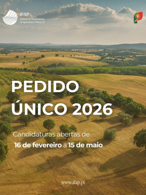 Pedido Único 2026