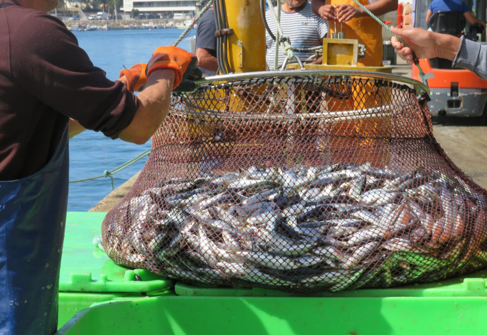 ADREPES lança bolsa de intenção de candidaturas ao MAR 2030