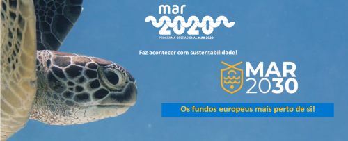 Qual é o valor acrescentado europeu na evolução do sector das pescas?