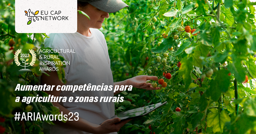 Projetos portugueses entre os finalistas nos Prémios ARIA 2023