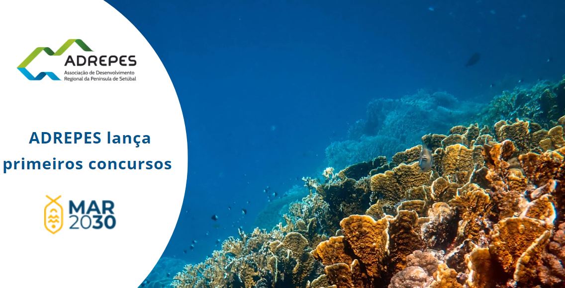 ADREPES lança primeiros concursos MAR2030