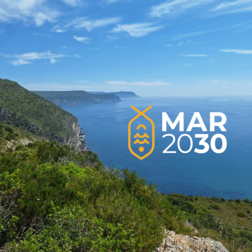 Projetos MAR 2030 aprovados pela ADREPES impulsionam o desenvolvimento das suas comunidades costeiras