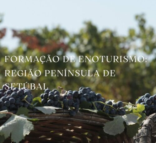 Formação de Enoturismo: Região Península de Setúbal