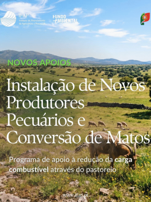 Abertura de candidaturas para apoio para pecuária e pastagens