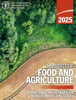 FAO publica relatório “The State of Food and Agriculture 2025”