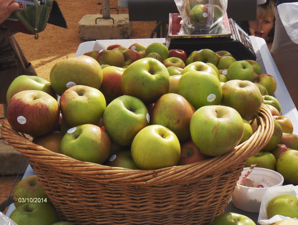 Sessão de Esclarecimento AGRICULTURA, ALIMENTAÇÃO E SEGURANÇA