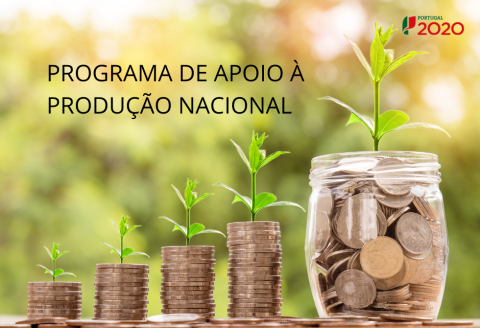 Programa de Apoio à Produção Nacional (PAPN)